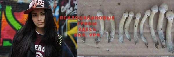 прущая мука Бородино