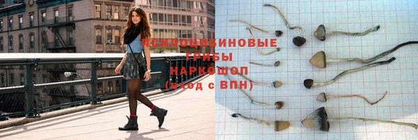 прущая мука Бородино
