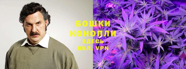 прущая мука Бородино
