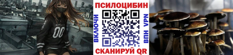 Галлюциногенные грибы MAGIC MUSHROOMS  купить наркоту  Дивногорск 